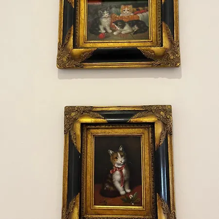 Bed & Breakfast West Colla Place