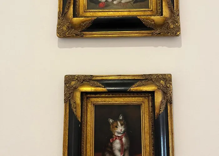 Bed & Breakfast West Colla Place